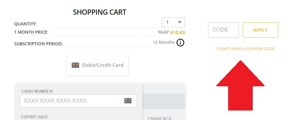 Entering coupon code on Spynger checkout page
